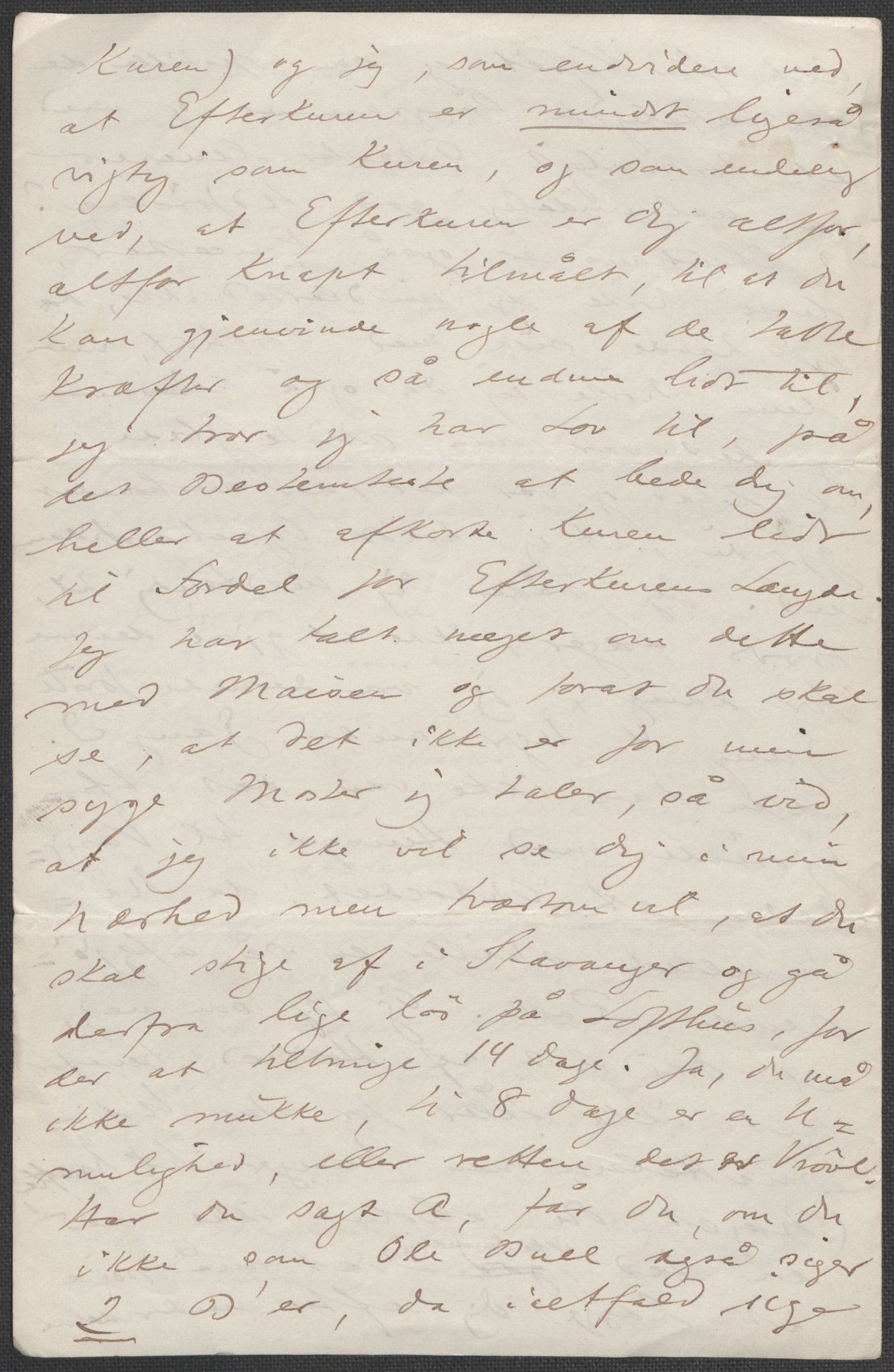 Beyer, Frants, AV/RA-PA-0132/F/L0001: Brev fra Edvard Grieg til Frantz Beyer og "En del optegnelser som kan tjene til kommentar til brevene" av Marie Beyer, 1872-1907, p. 206