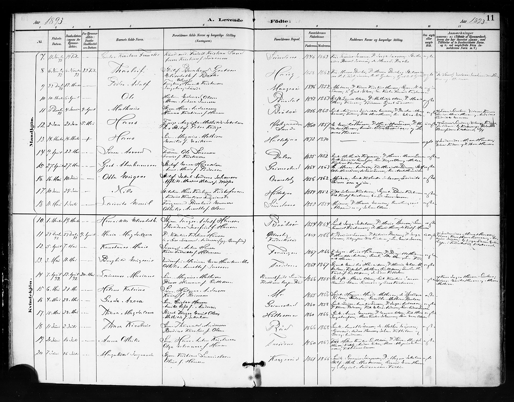 Tjøme kirkebøker, AV/SAKO-A-328/F/Fa/L0003: Parish register (official) no. I 3, 1891-1900, p. 11