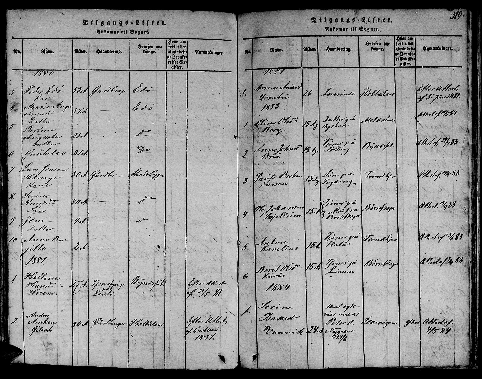 Ministerialprotokoller, klokkerbøker og fødselsregistre - Sør-Trøndelag, SAT/A-1456/613/L0393: Parish register (copy) no. 613C01, 1816-1886, p. 319
