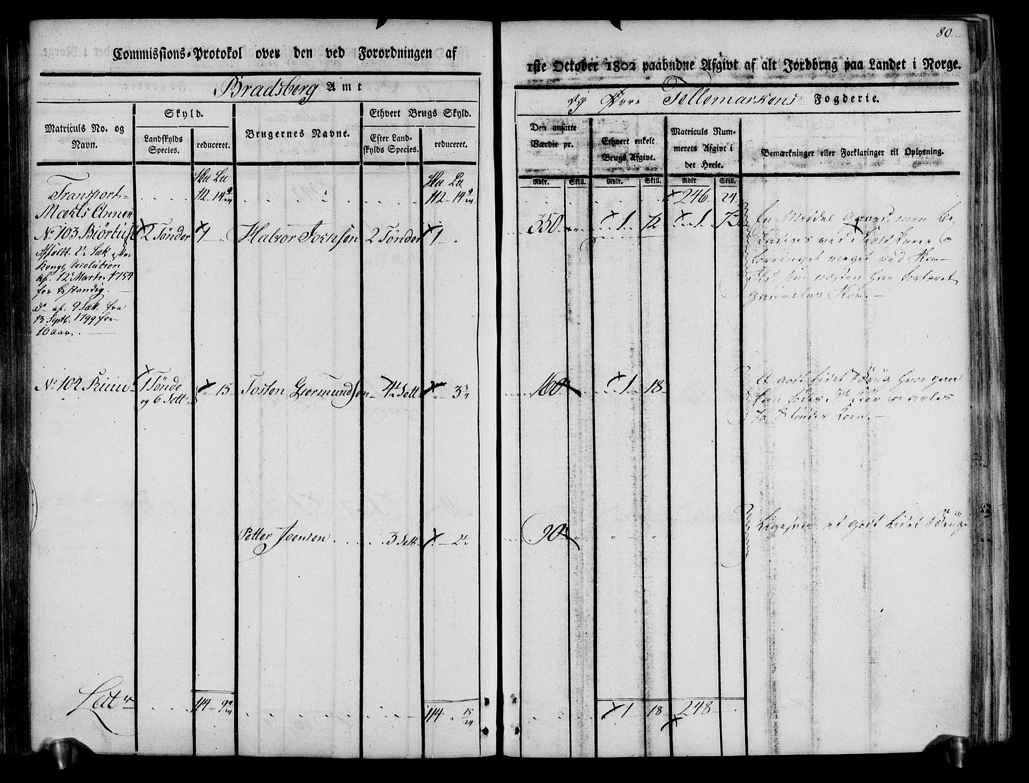 Rentekammeret inntil 1814, Realistisk ordnet avdeling, AV/RA-EA-4070/N/Ne/Nea/L0074: Øvre Telemarken fogderi. Kommisjonsprotokoll for fogderiets østre del - Tinn, Hjartdal og Seljord prestegjeld., 1803, p. 80