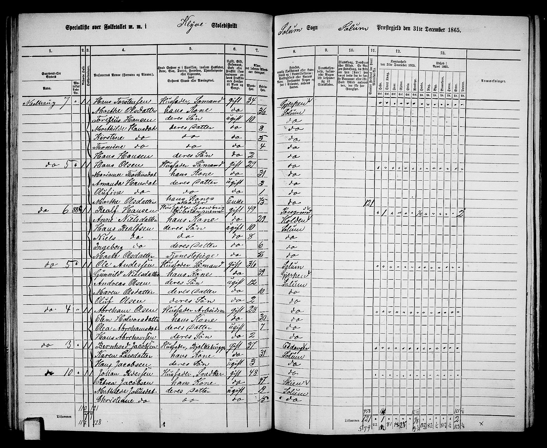 RA, 1865 census for Solum, 1865, p. 90