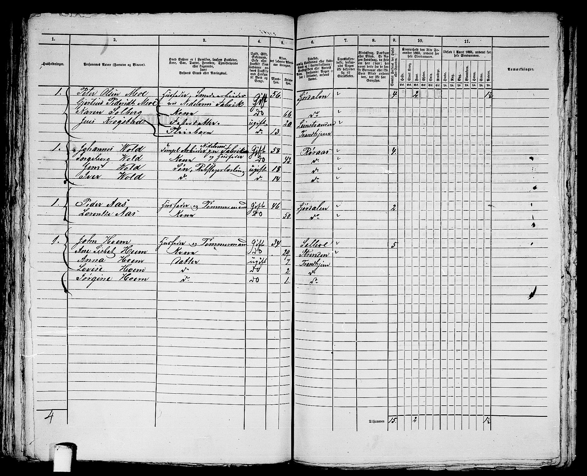 RA, 1865 census for Trondheim, 1865, p. 2924