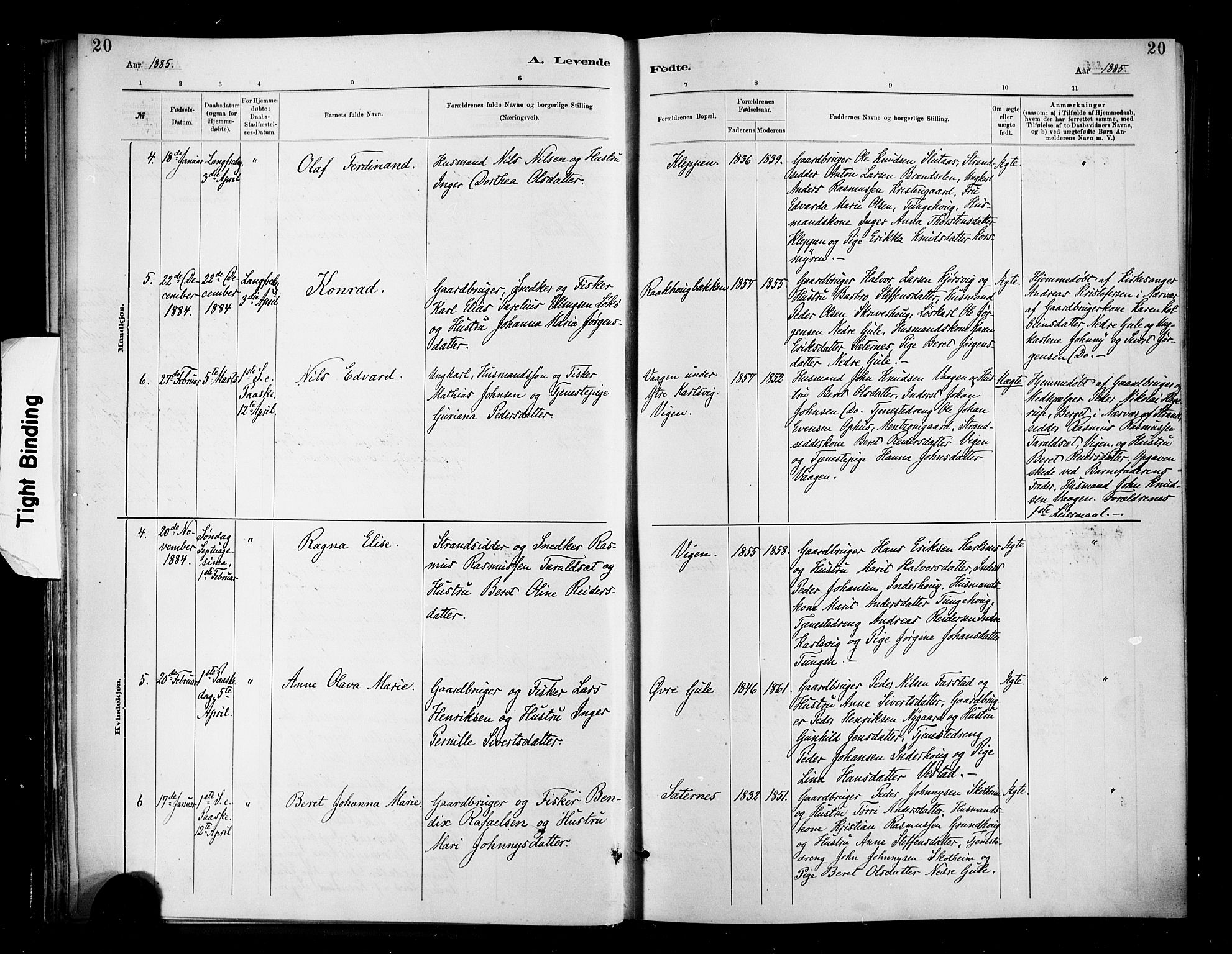 Ministerialprotokoller, klokkerbøker og fødselsregistre - Møre og Romsdal, AV/SAT-A-1454/566/L0769: Parish register (official) no. 566A08, 1881-1903, p. 20