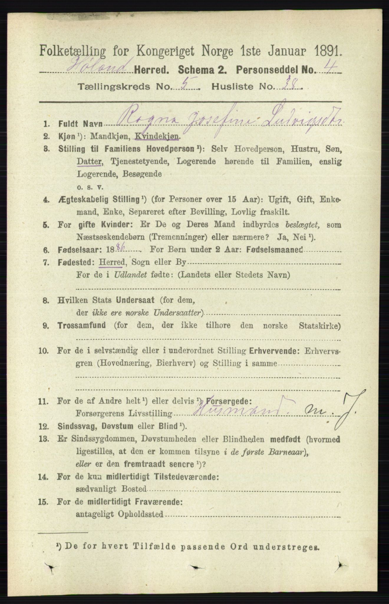 RA, 1891 census for 0221 Høland, 1891, p. 3715