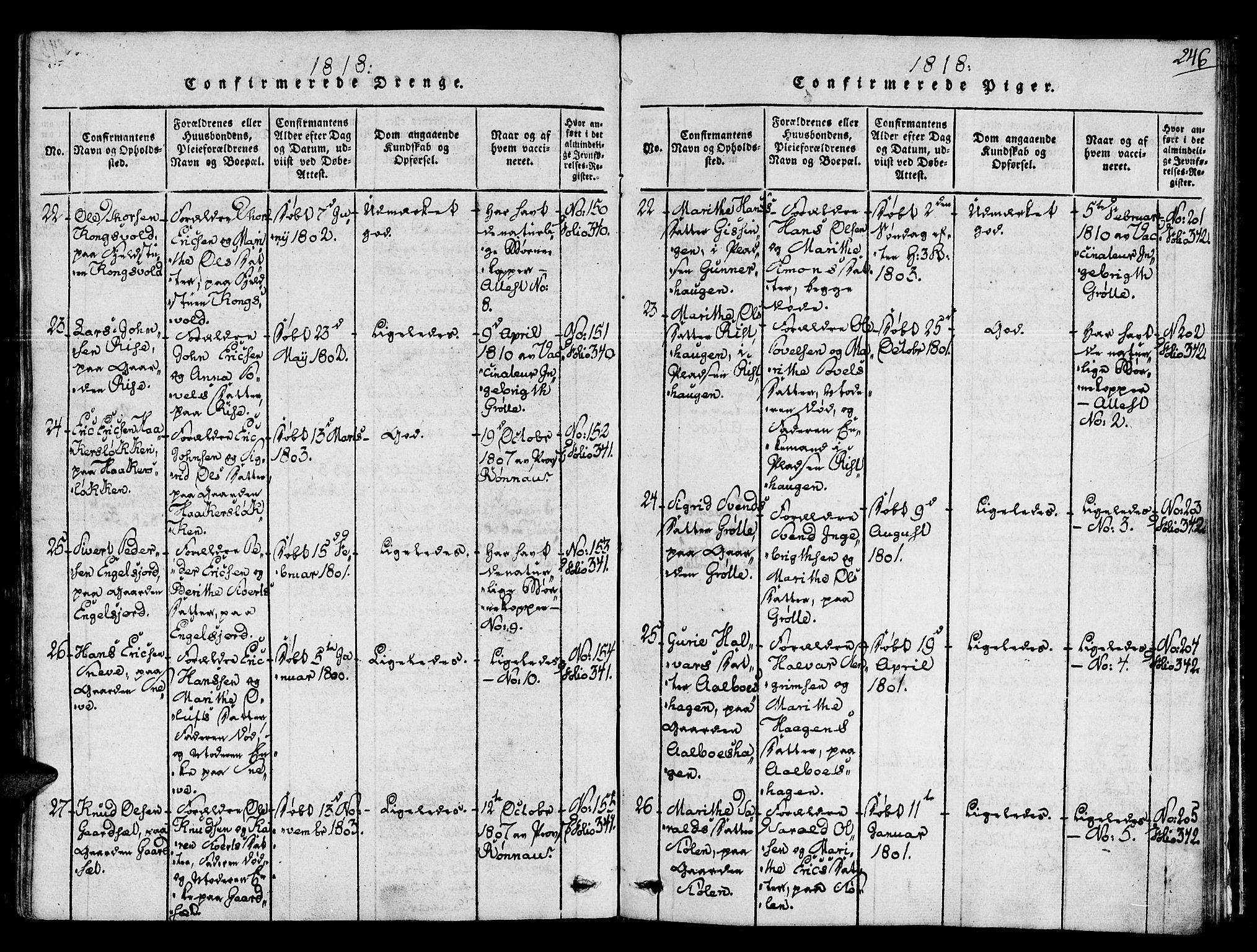 Ministerialprotokoller, klokkerbøker og fødselsregistre - Sør-Trøndelag, AV/SAT-A-1456/678/L0895: Parish register (official) no. 678A05 /1, 1816-1821, p. 246