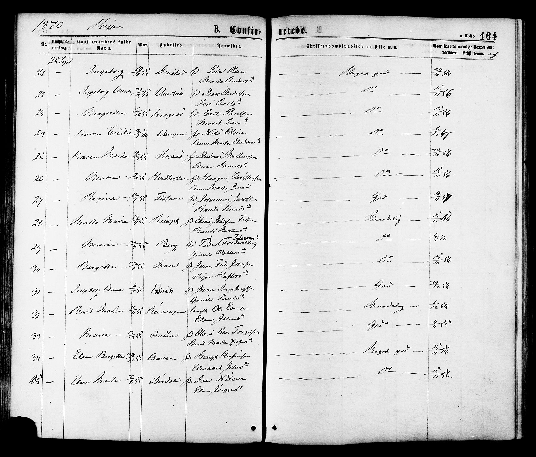 Ministerialprotokoller, klokkerbøker og fødselsregistre - Sør-Trøndelag, AV/SAT-A-1456/646/L0613: Parish register (official) no. 646A11, 1870-1884, p. 164