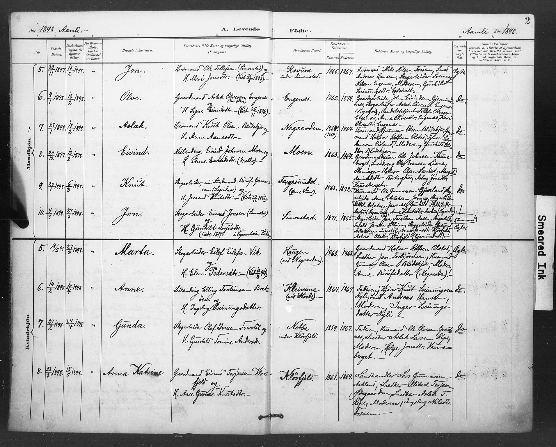 Åmli sokneprestkontor, AV/SAK-1111-0050/F/Fa/Fac/L0011: Parish register (official) no. A 11, 1898-1899, p. 2