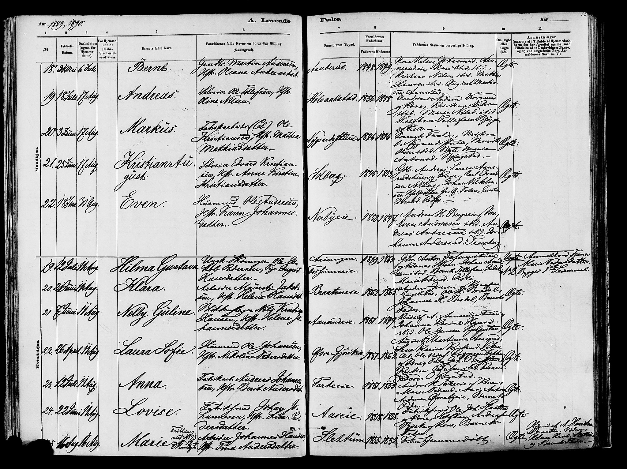 Vardal prestekontor, SAH/PREST-100/H/Ha/Haa/L0009: Parish register (official) no. 9, 1878-1892, p. 63