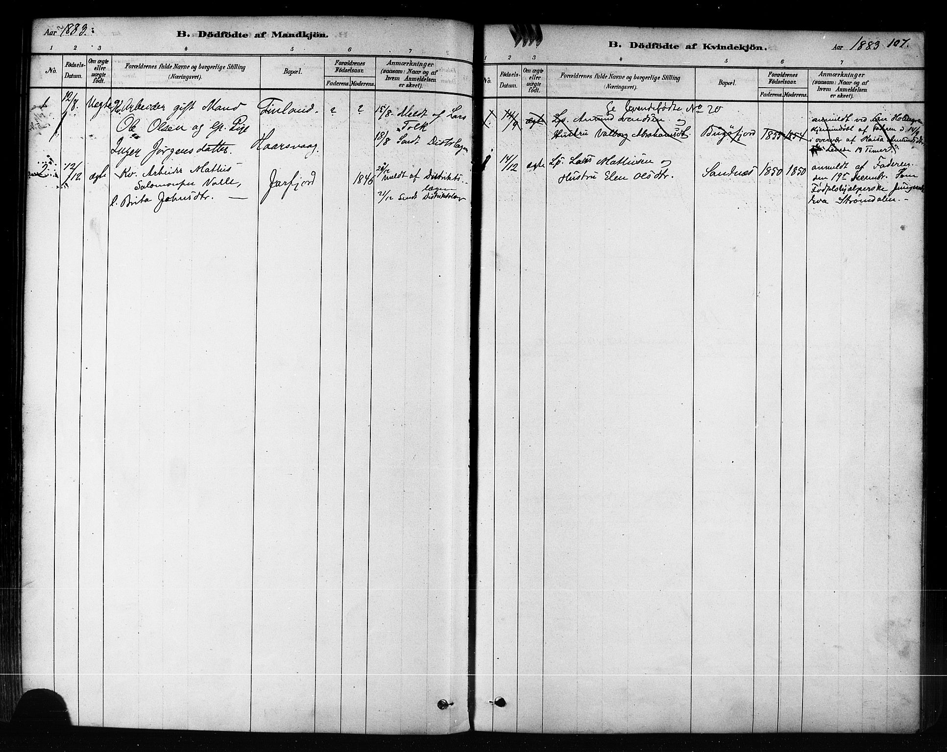 Sør-Varanger sokneprestkontor, AV/SATØ-S-1331/H/Ha/L0003kirke: Parish register (official) no. 3, 1878-1891, p. 107