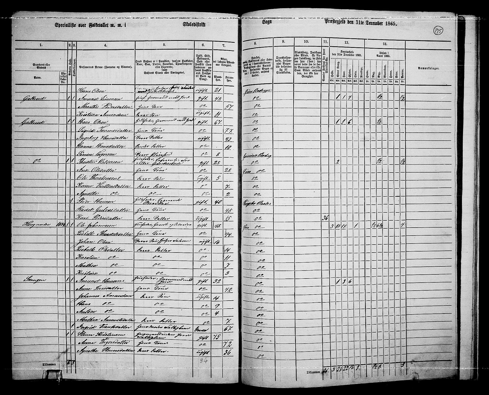 RA, 1865 census for Øyer, 1865, p. 160