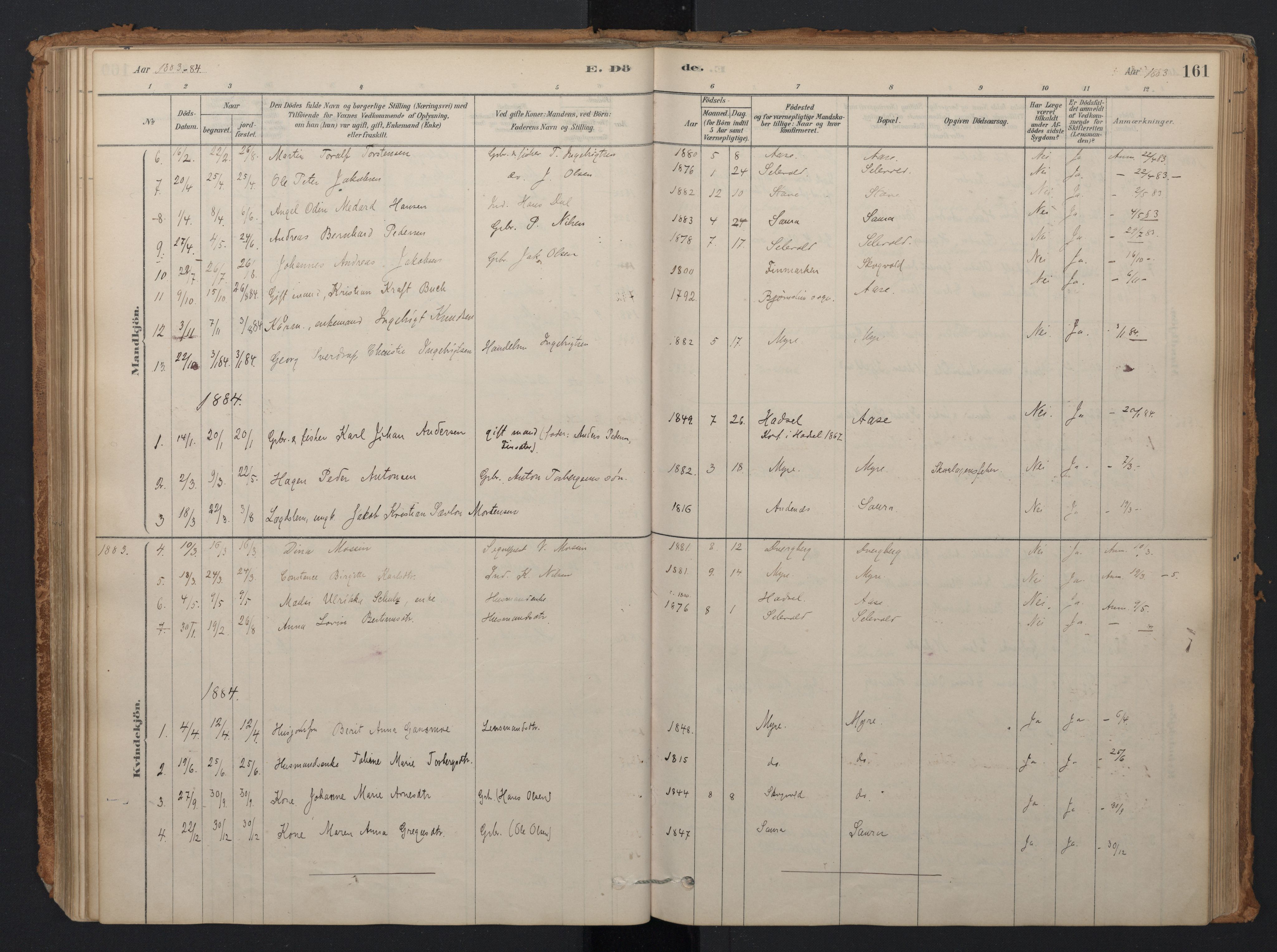 Ministerialprotokoller, klokkerbøker og fødselsregistre - Nordland, AV/SAT-A-1459/897/L1399: Parish register (official) no. 897A06, 1881-1896, p. 161