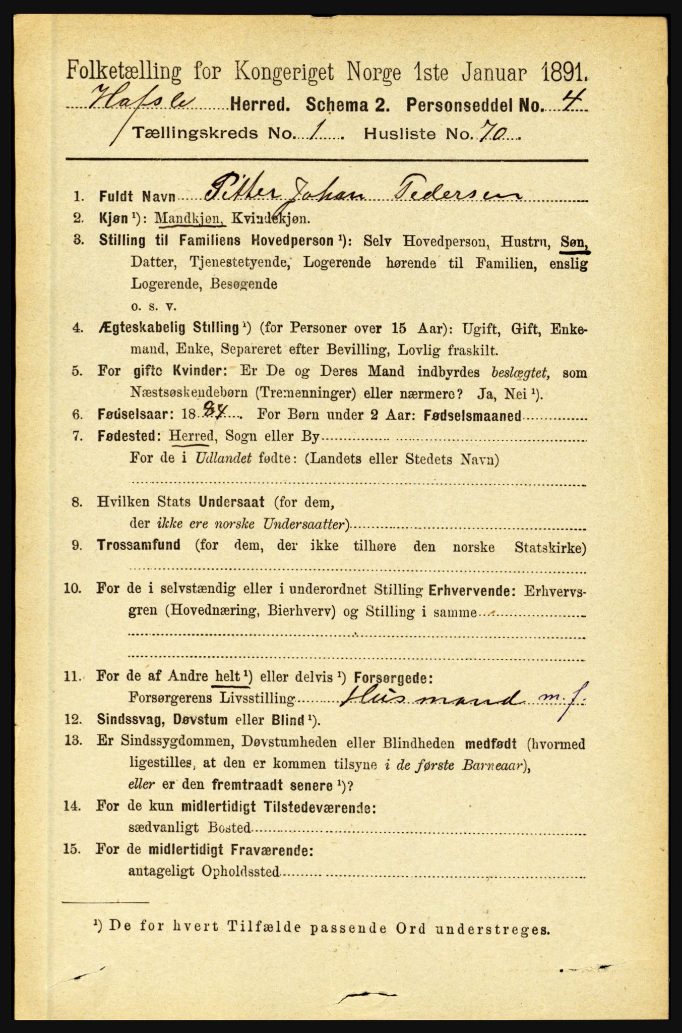 RA, 1891 census for 1425 Hafslo, 1891, p. 474