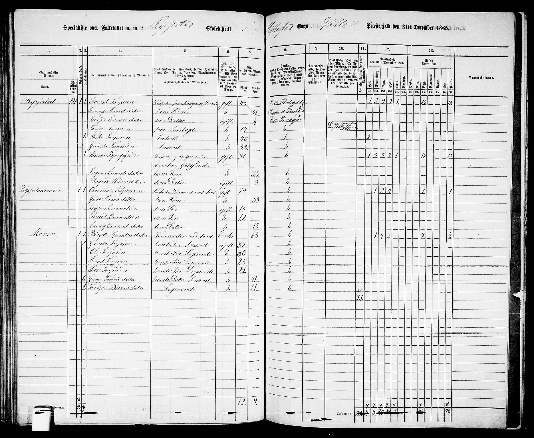 RA, 1865 census for Valle, 1865, p. 126