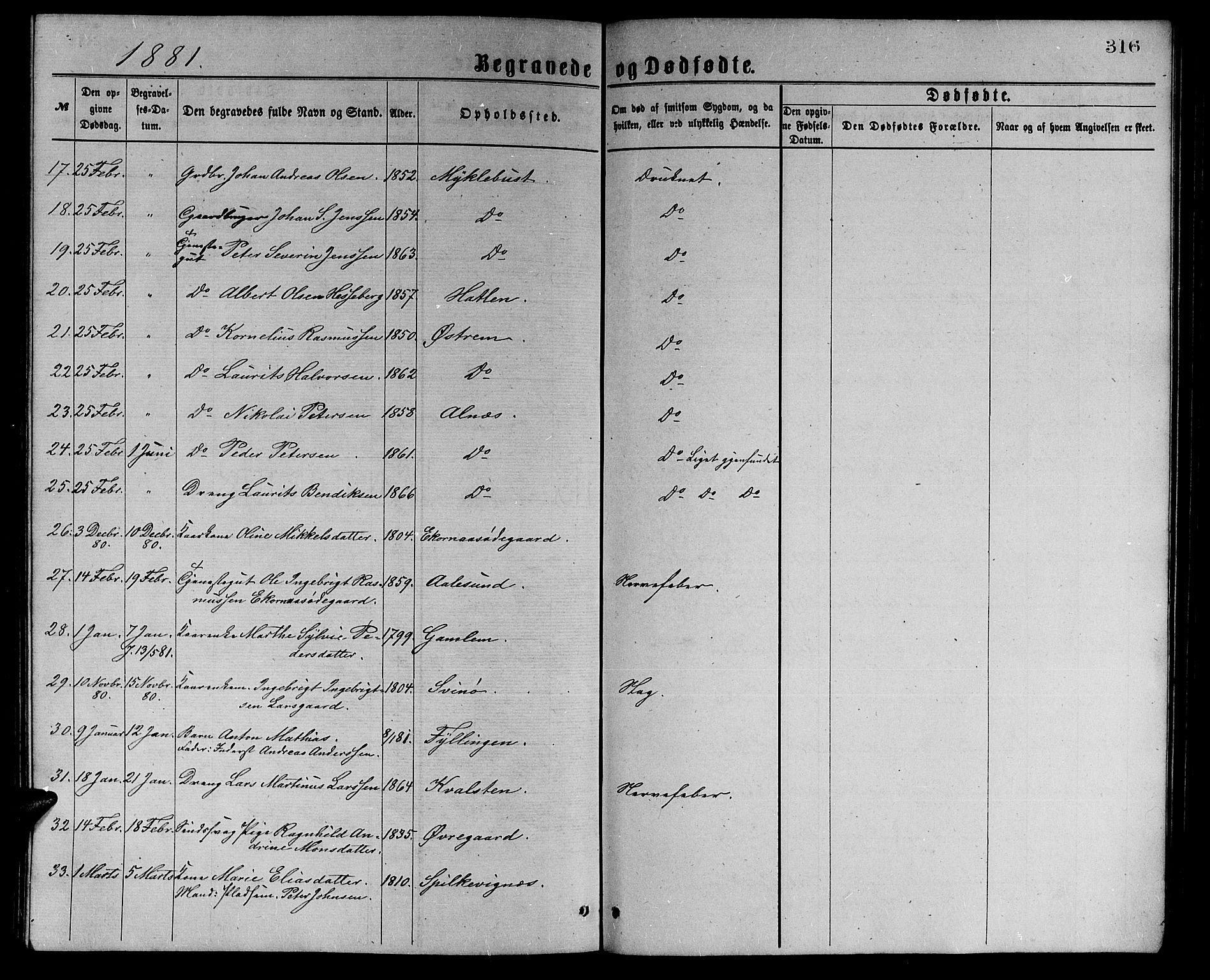 Ministerialprotokoller, klokkerbøker og fødselsregistre - Møre og Romsdal, AV/SAT-A-1454/528/L0429: Parish register (copy) no. 528C10, 1872-1886, p. 316