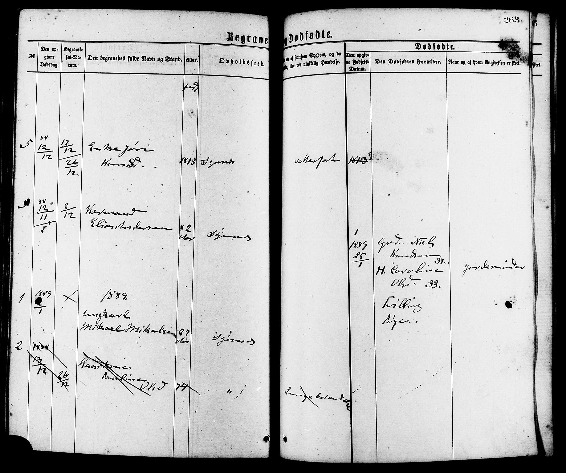 Ministerialprotokoller, klokkerbøker og fødselsregistre - Møre og Romsdal, AV/SAT-A-1454/537/L0519: Parish register (official) no. 537A03, 1876-1889, p. 263