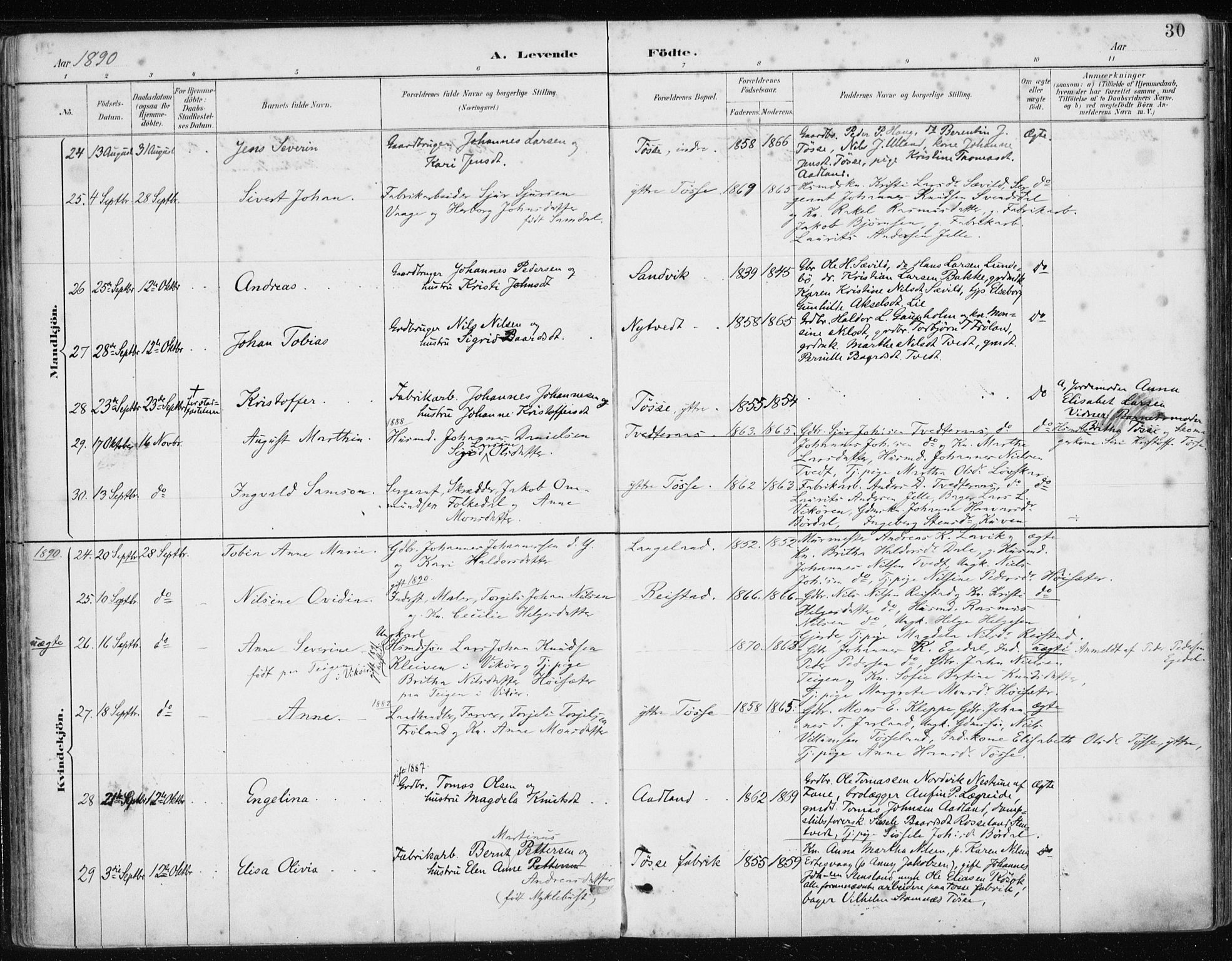 Samnanger Sokneprestembete, AV/SAB-A-77501/H/Haa: Parish register (official) no. A 1, 1885-1901, p. 30