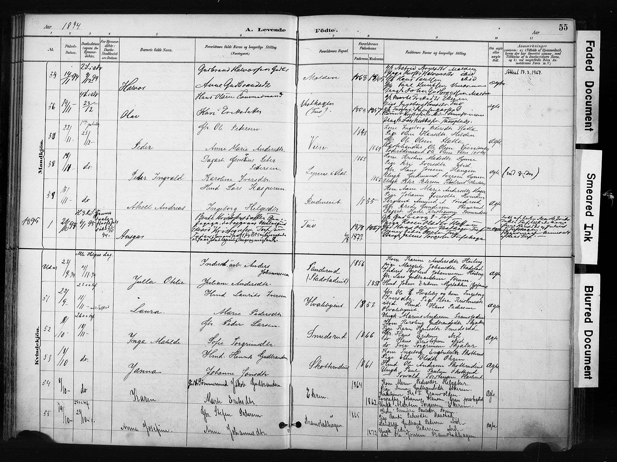 Gran prestekontor, SAH/PREST-112/H/Ha/Haa/L0017: Parish register (official) no. 17, 1889-1897, p. 55