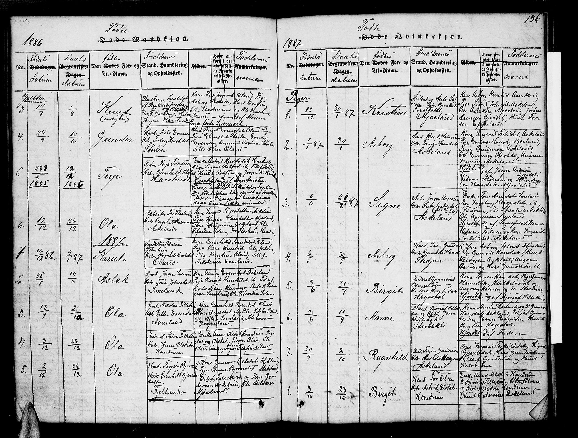 Åmli sokneprestkontor, AV/SAK-1111-0050/F/Fb/Fba/L0001: Parish register (copy) no. B 1, 1816-1890, p. 156