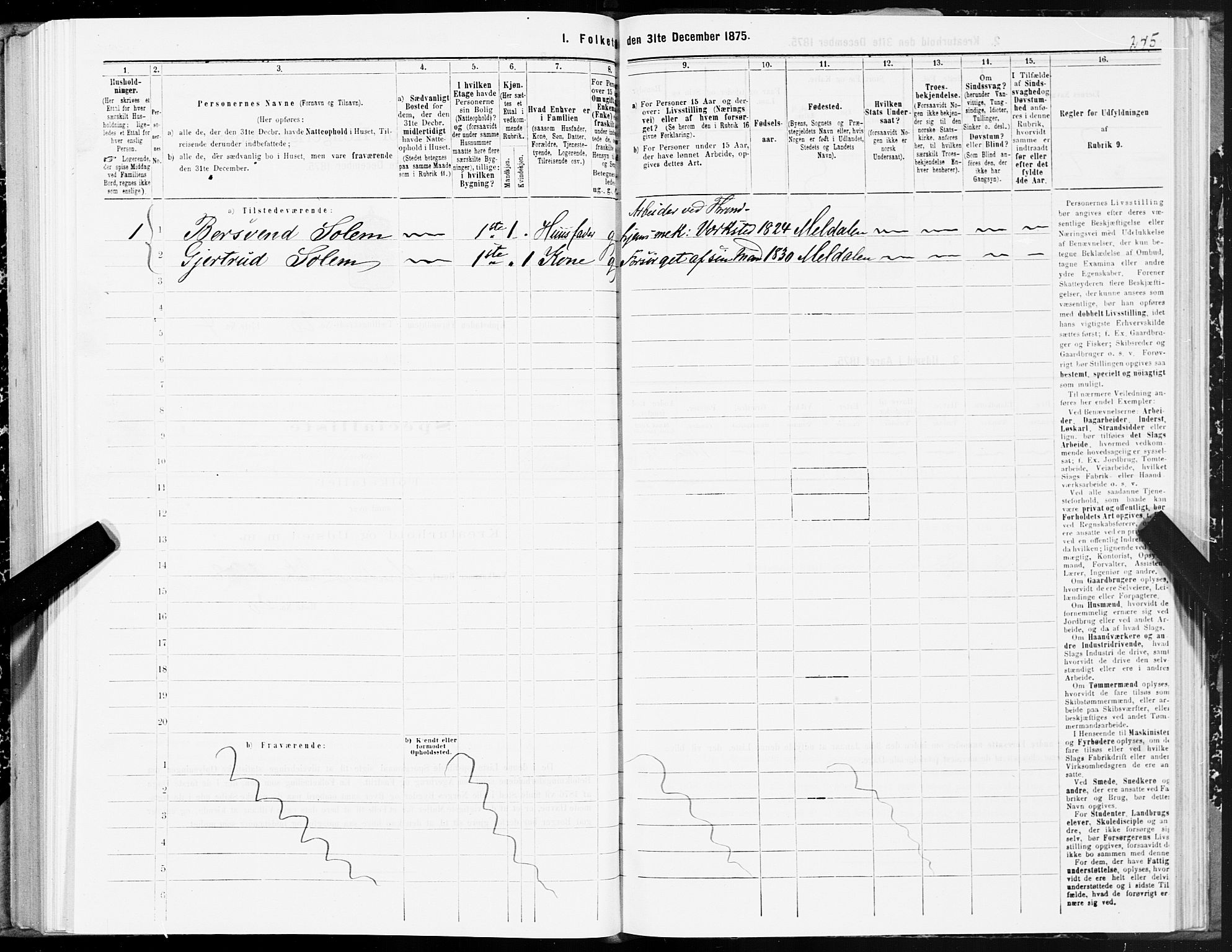 SAT, 1875 census for 1601 Trondheim, 1875, p. 10245