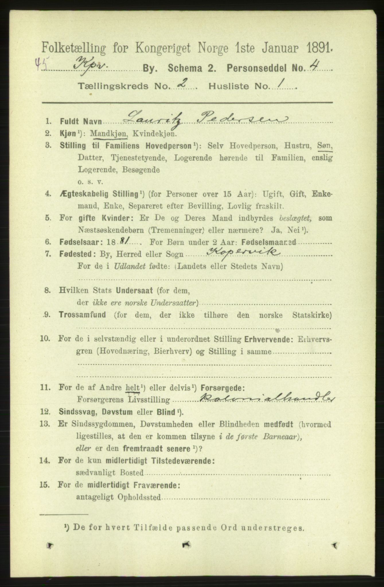 RA, 1891 census for 1105 Kopervik, 1891, p. 119