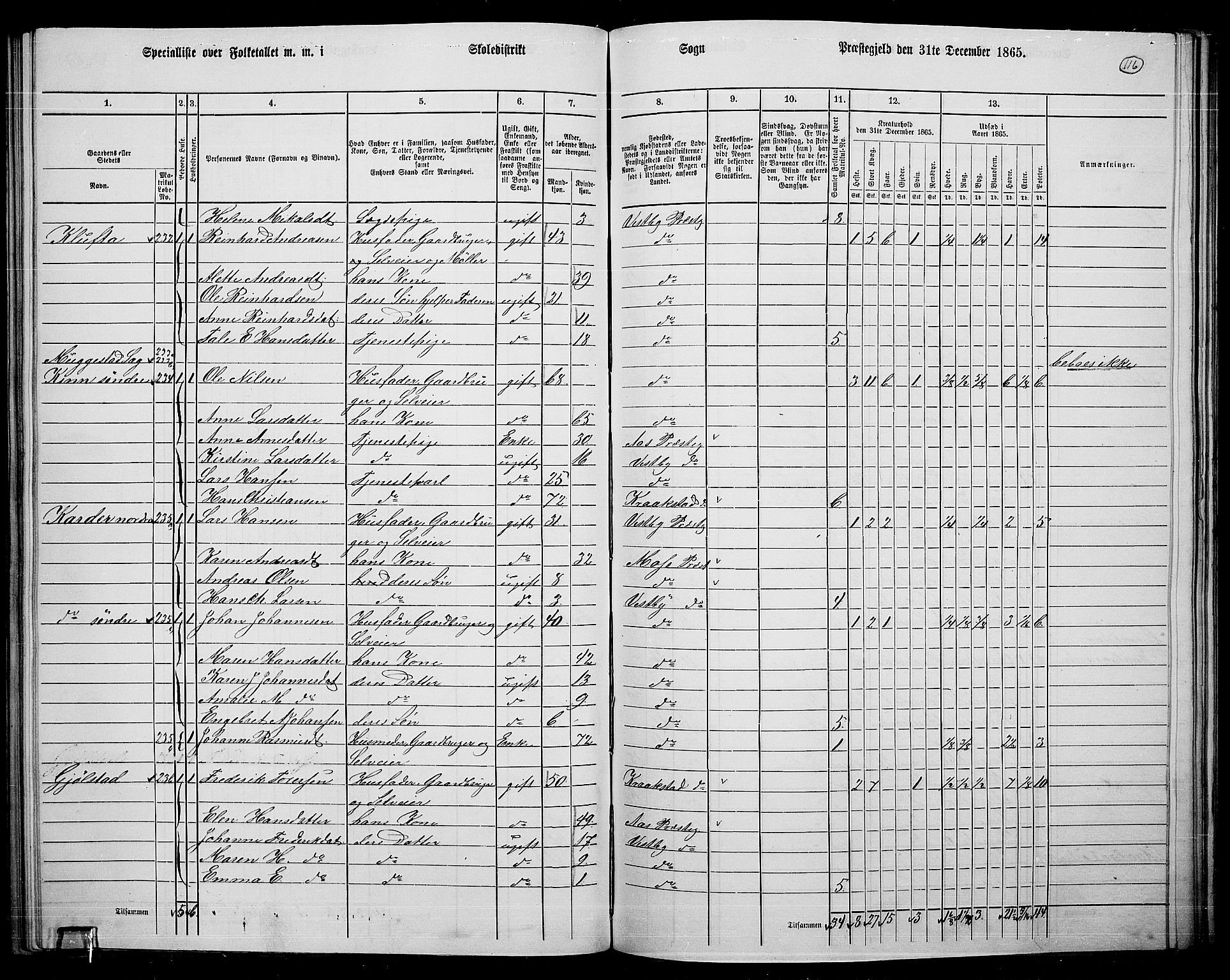 RA, 1865 census for Vestby, 1865, p. 110