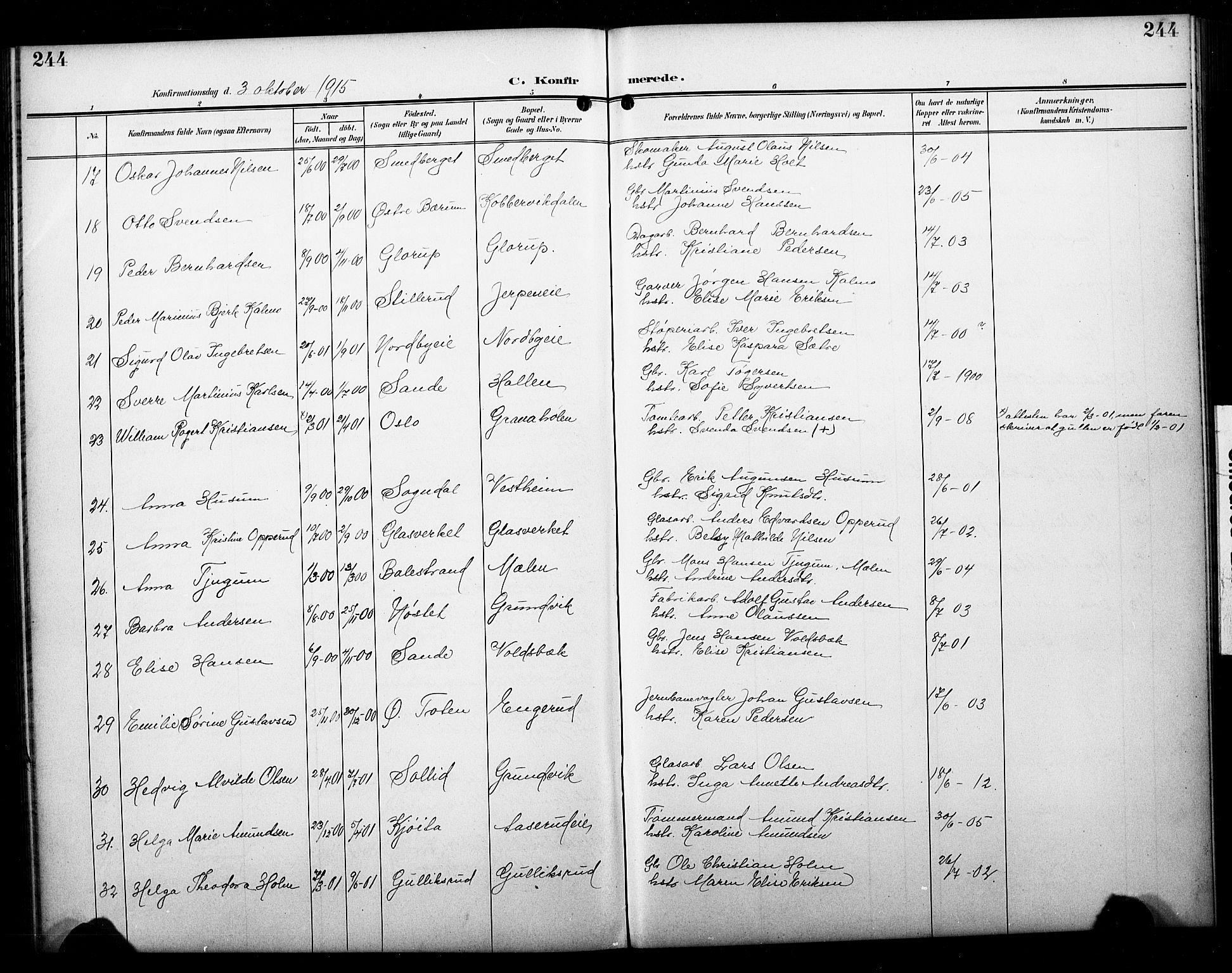 Skoger kirkebøker, AV/SAKO-A-59/G/Ga/L0003: Parish register (copy) no. I 3, 1900-1927, p. 244