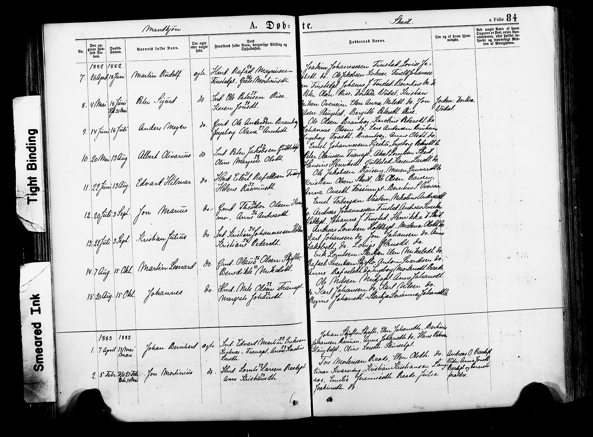 Ministerialprotokoller, klokkerbøker og fødselsregistre - Nord-Trøndelag, SAT/A-1458/735/L0348: Parish register (official) no. 735A09 /2, 1873-1883, p. 84