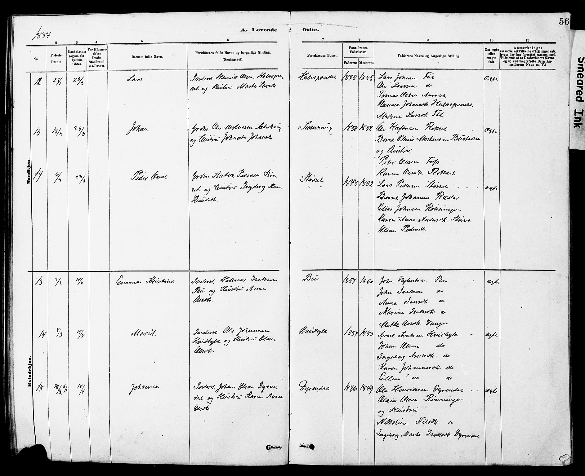 Ministerialprotokoller, klokkerbøker og fødselsregistre - Sør-Trøndelag, AV/SAT-A-1456/647/L0636: Parish register (copy) no. 647C01, 1881-1884, p. 56