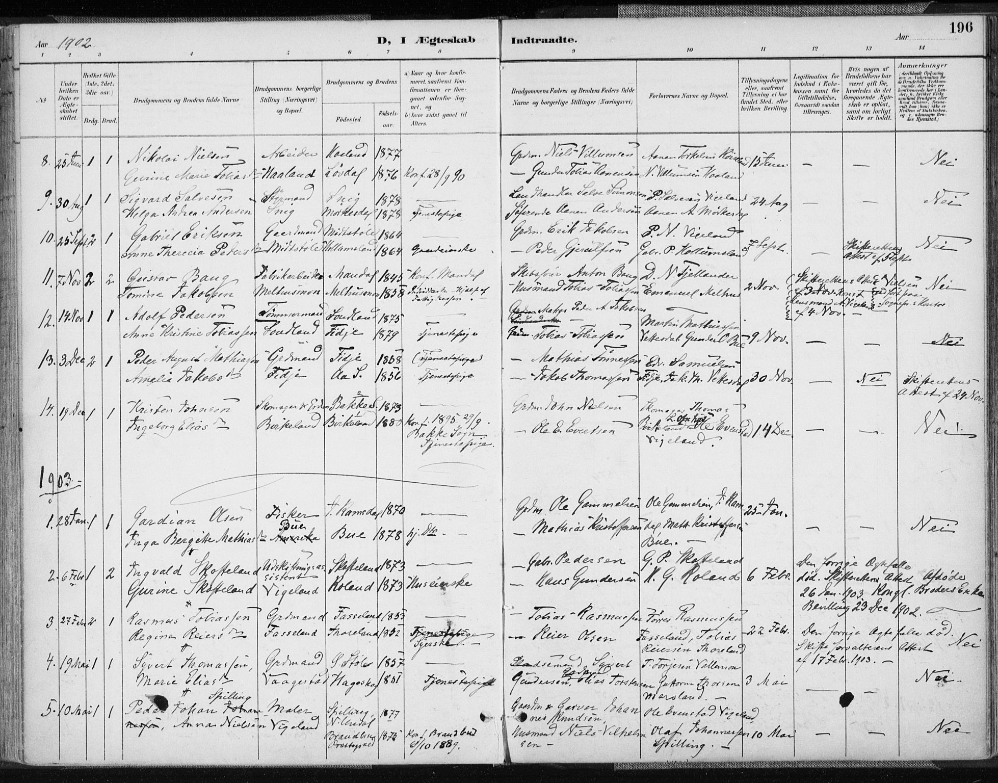 Sør-Audnedal sokneprestkontor, AV/SAK-1111-0039/F/Fa/Fab/L0010: Parish register (official) no. A 10, 1892-1913, p. 196