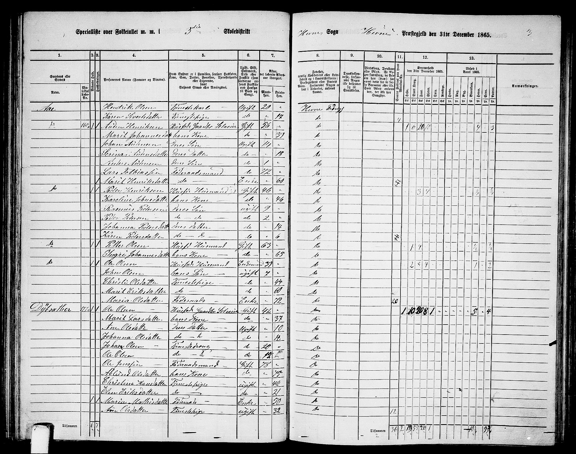 RA, 1865 census for Hemne, 1865, p. 61