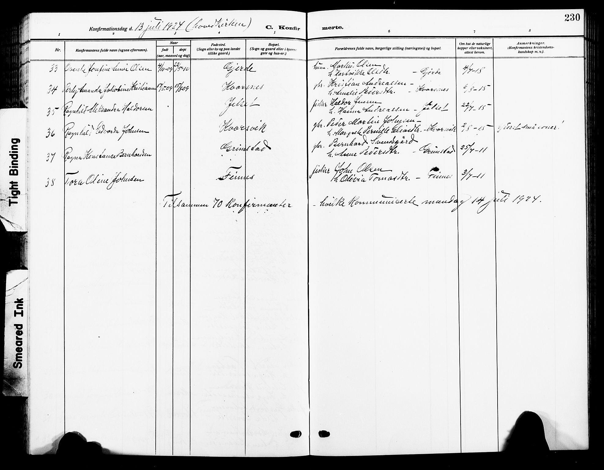 Ministerialprotokoller, klokkerbøker og fødselsregistre - Nordland, AV/SAT-A-1459/805/L0110: Parish register (copy) no. 805C06, 1909-1924, p. 230