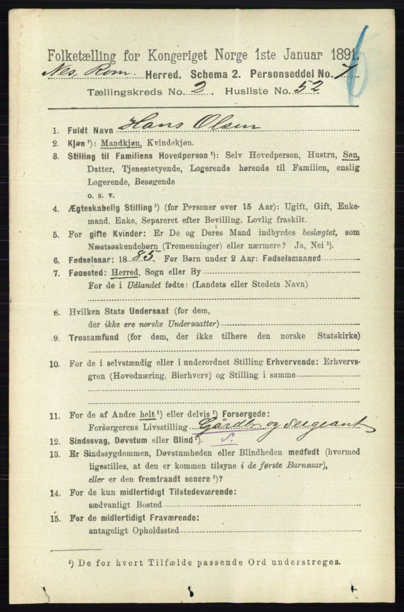 RA, 1891 census for 0236 Nes, 1891, p. 1207