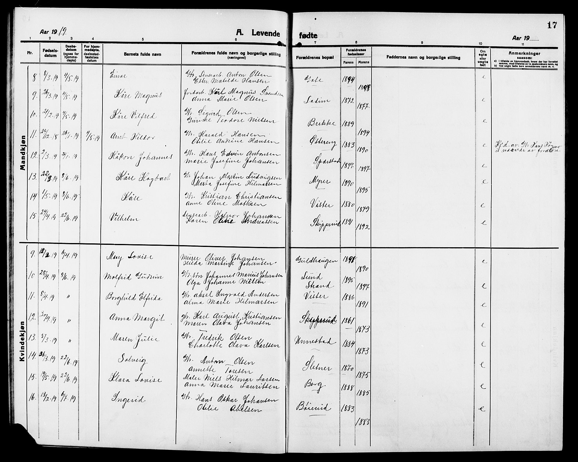 Skiptvet prestekontor Kirkebøker, AV/SAO-A-20009/G/Ga/L0003: Parish register (copy) no. 3, 1916-1924, p. 17