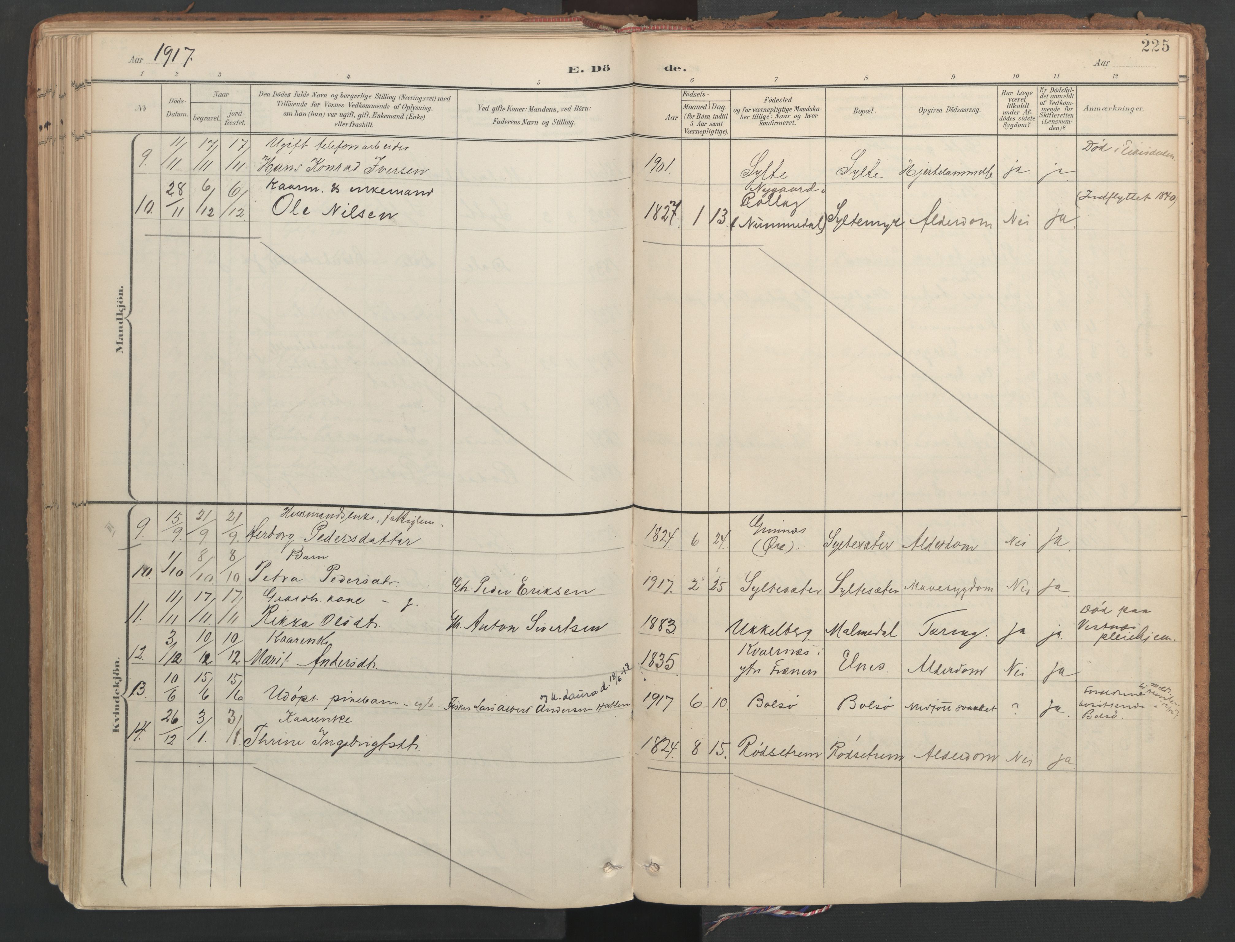 Ministerialprotokoller, klokkerbøker og fødselsregistre - Møre og Romsdal, SAT/A-1454/564/L0741: Parish register (official) no. 564A02, 1900-1976, p. 225