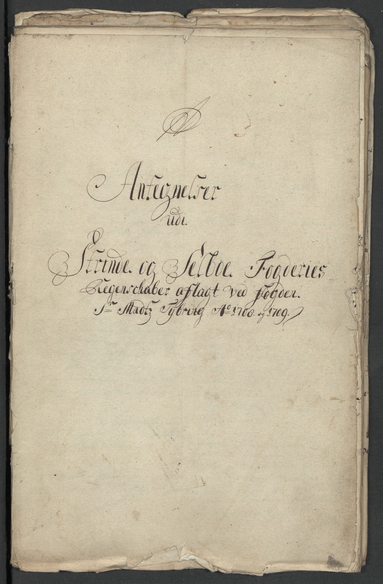 Rentekammeret inntil 1814, Reviderte regnskaper, Fogderegnskap, AV/RA-EA-4092/R61/L4111: Fogderegnskap Strinda og Selbu, 1709-1710, p. 194