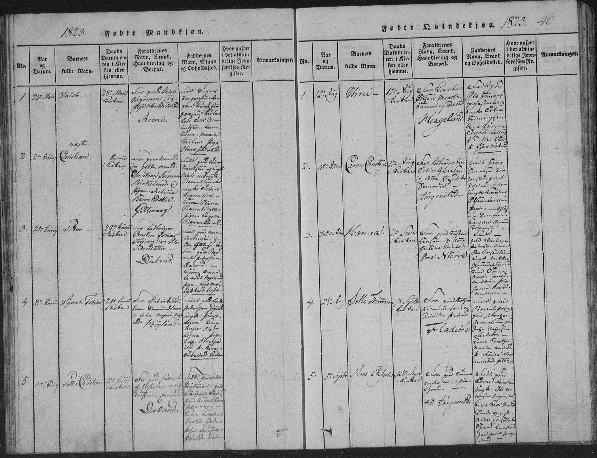 Sør-Audnedal sokneprestkontor, AV/SAK-1111-0039/F/Fb/Fba/L0001: Parish register (copy) no. B 1, 1815-1850, p. 40