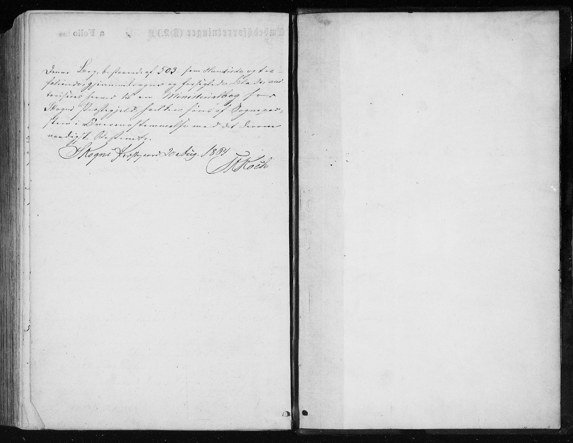 Ministerialprotokoller, klokkerbøker og fødselsregistre - Nord-Trøndelag, SAT/A-1458/717/L0157: Parish register (official) no. 717A08 /1, 1863-1877
