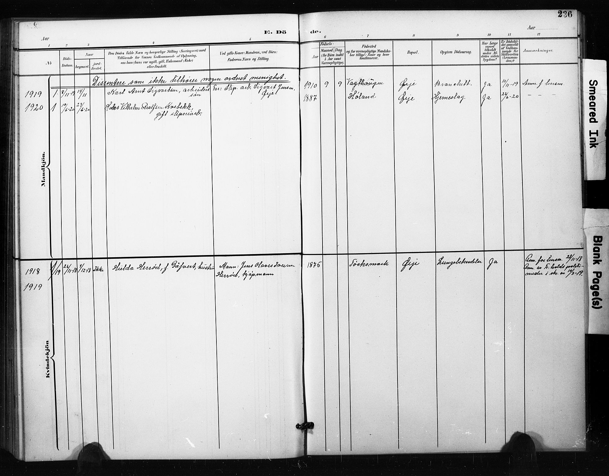Aremark prestekontor Kirkebøker, SAO/A-10899/G/Gb/L0001: Parish register (copy) no. II 1, 1901-1927, p. 236