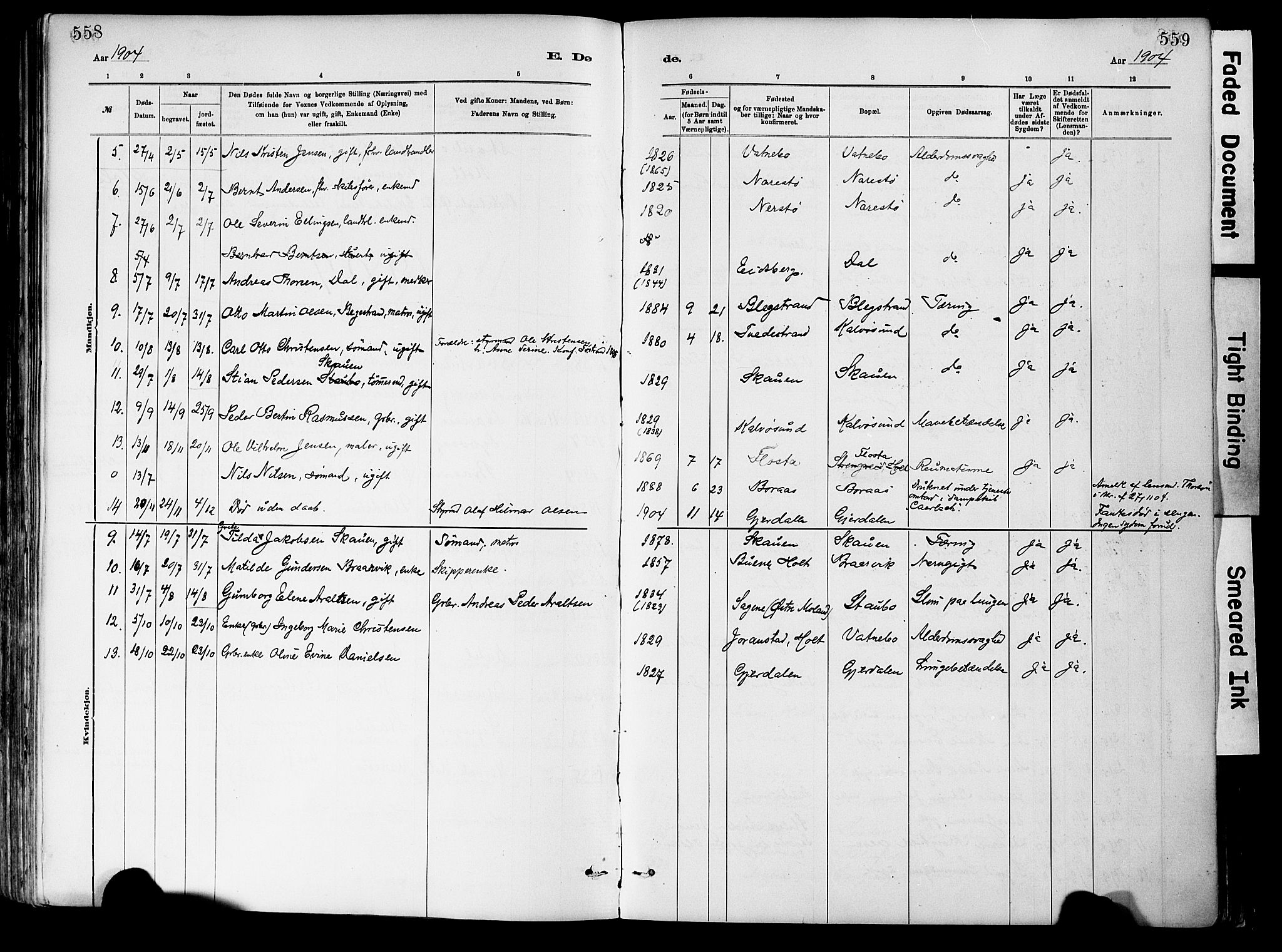 Dypvåg sokneprestkontor, AV/SAK-1111-0007/F/Fa/Fab/L0001: Parish register (official) no. A 1, 1885-1912, p. 558-559