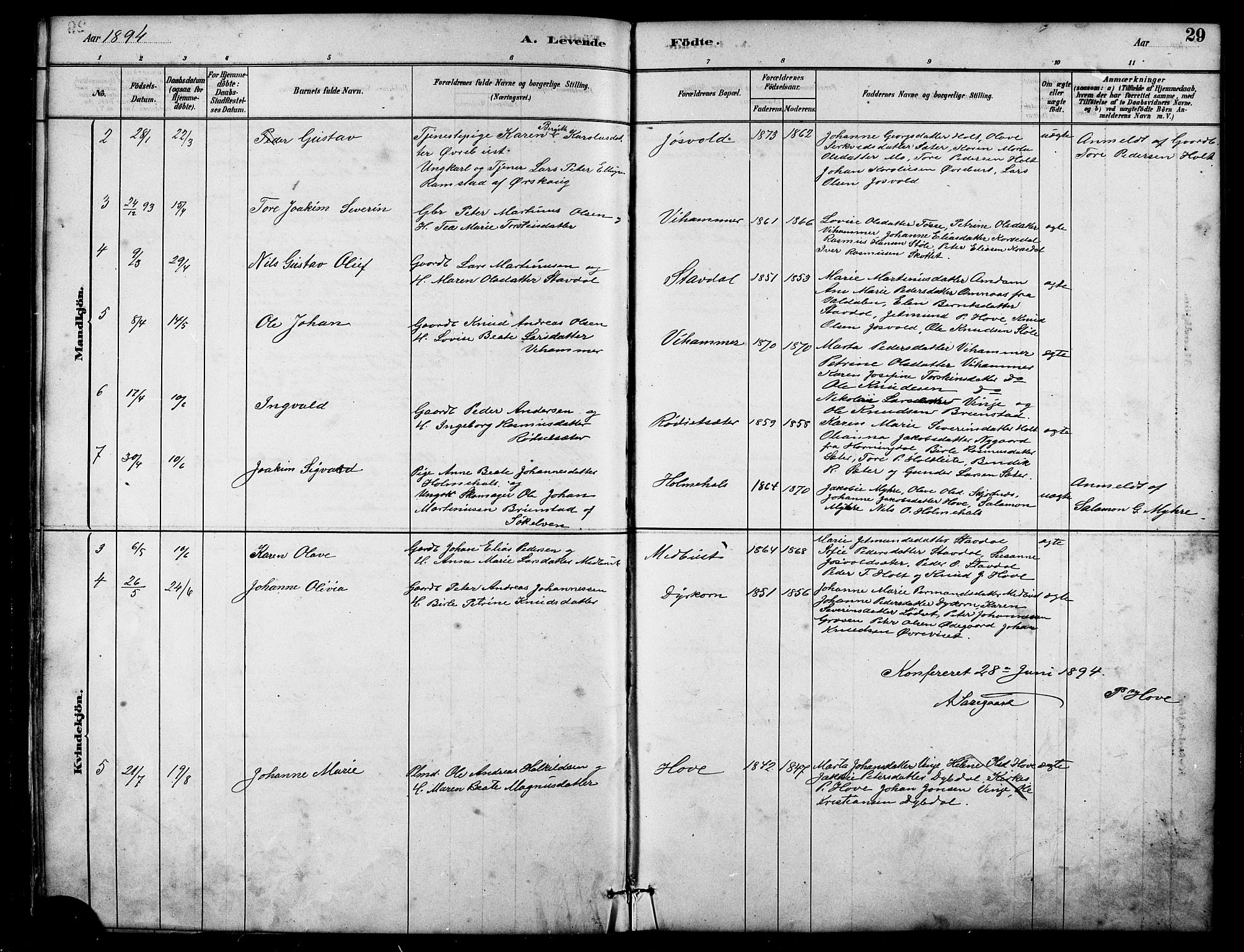 Ministerialprotokoller, klokkerbøker og fødselsregistre - Møre og Romsdal, AV/SAT-A-1454/521/L0302: Parish register (copy) no. 521C03, 1882-1907, p. 29