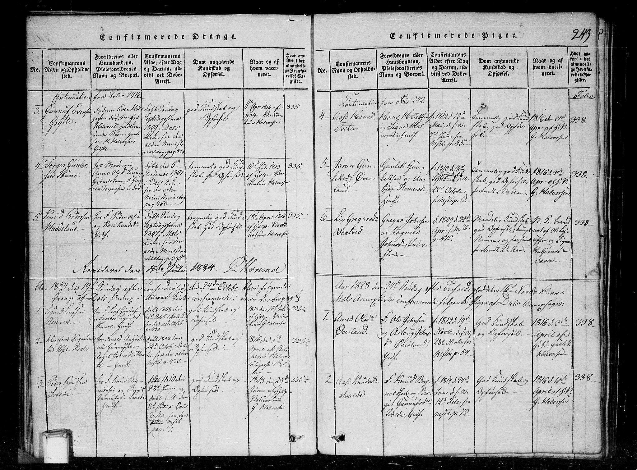 Tinn kirkebøker, SAKO/A-308/G/Gc/L0001: Parish register (copy) no. III 1, 1815-1879, p. 243