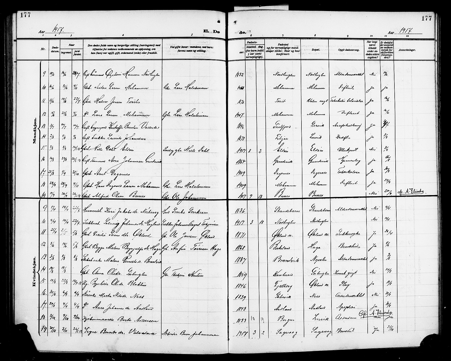 Stord sokneprestembete, SAB/A-78201/H/Hab: Parish register (copy) no. A 3, 1910-1919, p. 177