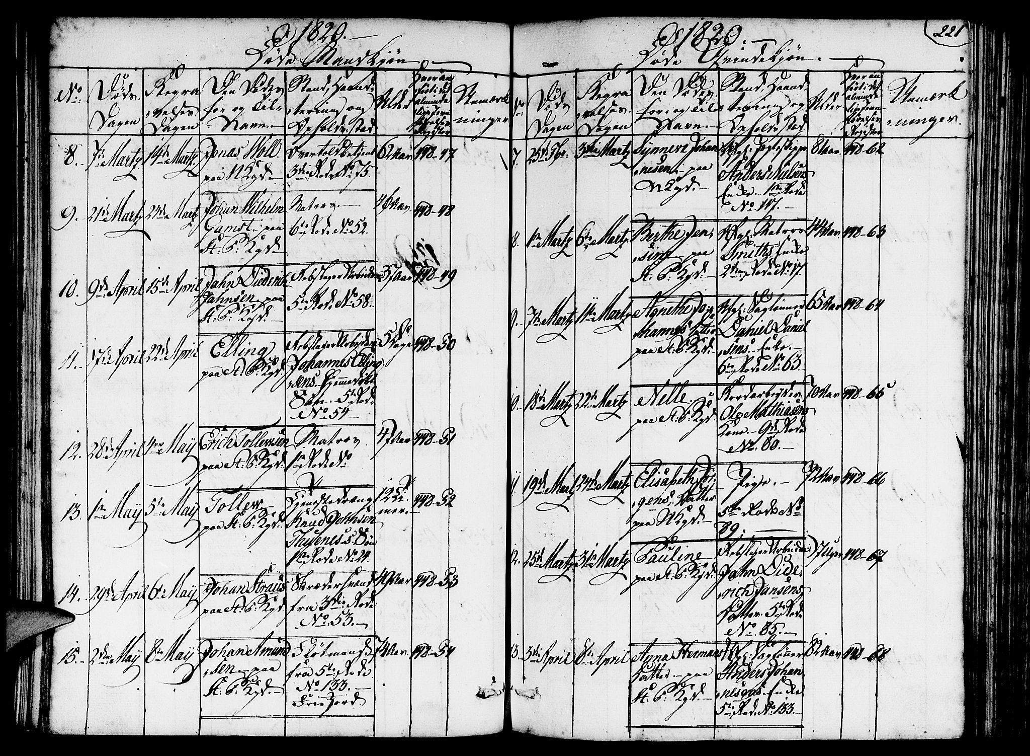 Nykirken Sokneprestembete, AV/SAB-A-77101/H/Hab/L0003: Parish register (copy) no. A 4, 1816-1821, p. 221