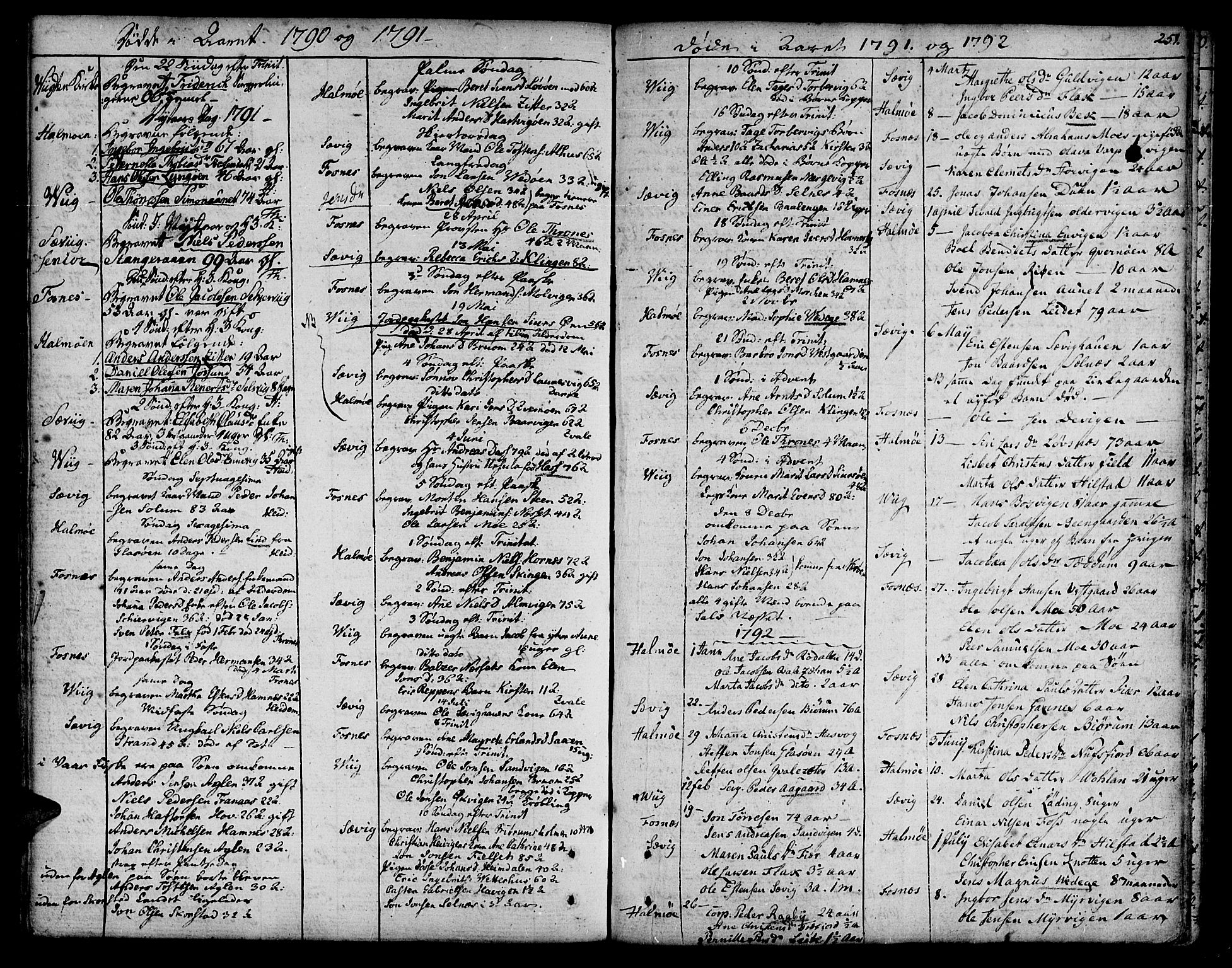 Ministerialprotokoller, klokkerbøker og fødselsregistre - Nord-Trøndelag, SAT/A-1458/773/L0608: Parish register (official) no. 773A02, 1784-1816, p. 251