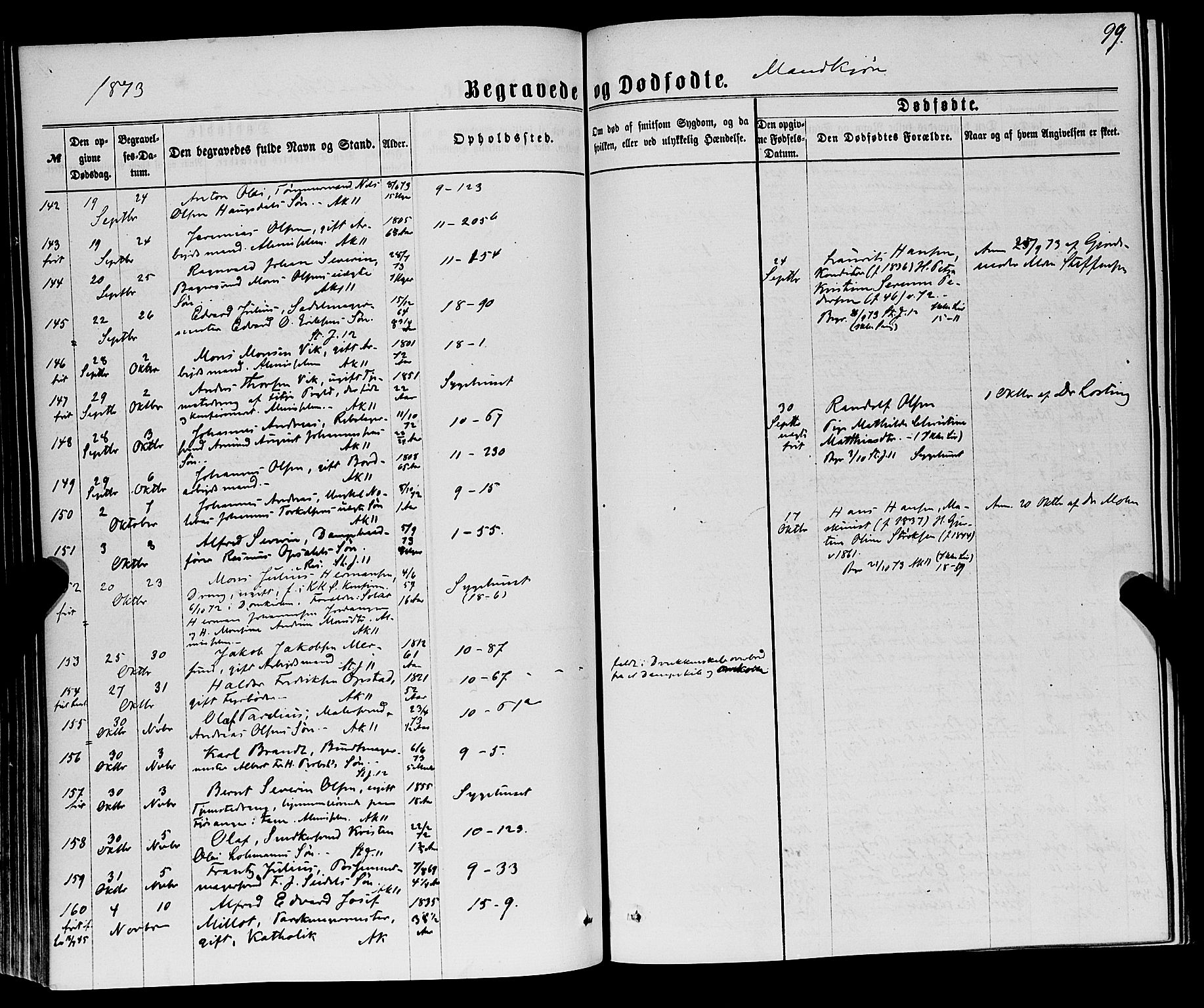 Domkirken sokneprestembete, AV/SAB-A-74801/H/Haa/L0042: Parish register (official) no. E 3, 1863-1876, p. 99