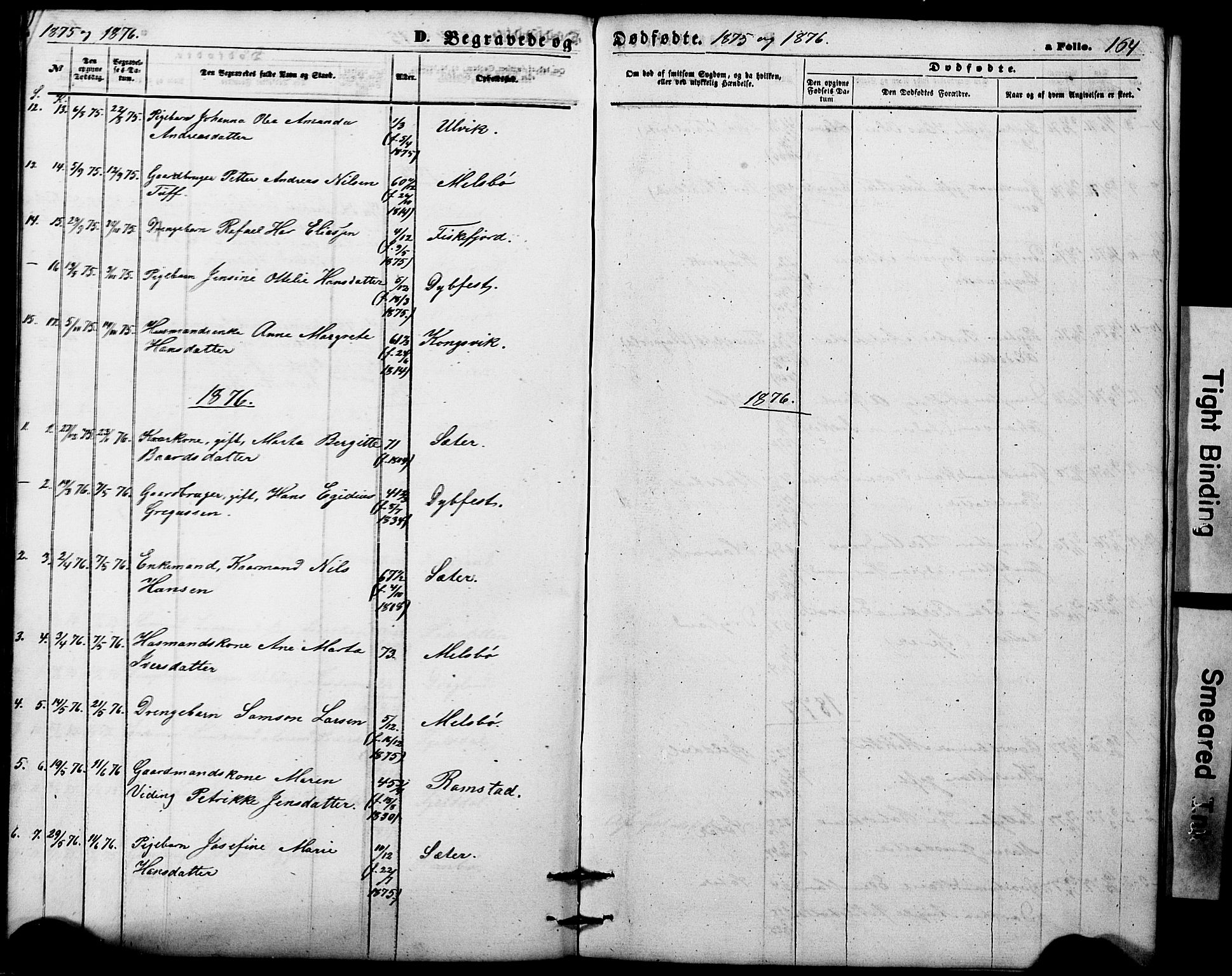 Ministerialprotokoller, klokkerbøker og fødselsregistre - Nordland, AV/SAT-A-1459/865/L0930: Parish register (copy) no. 865C02, 1866-1884, p. 164