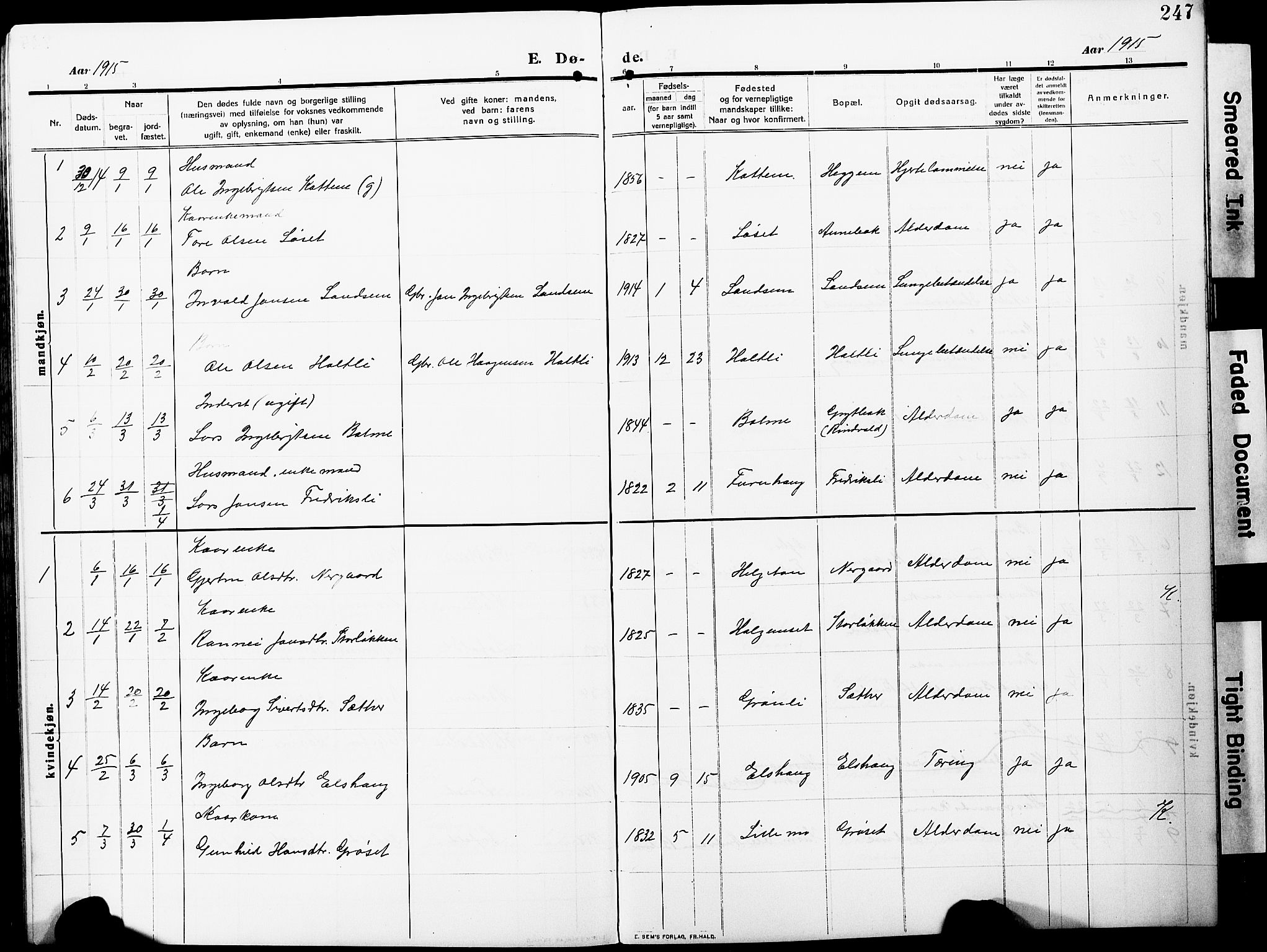 Ministerialprotokoller, klokkerbøker og fødselsregistre - Møre og Romsdal, AV/SAT-A-1454/598/L1079: Parish register (copy) no. 598C04, 1909-1927, p. 247
