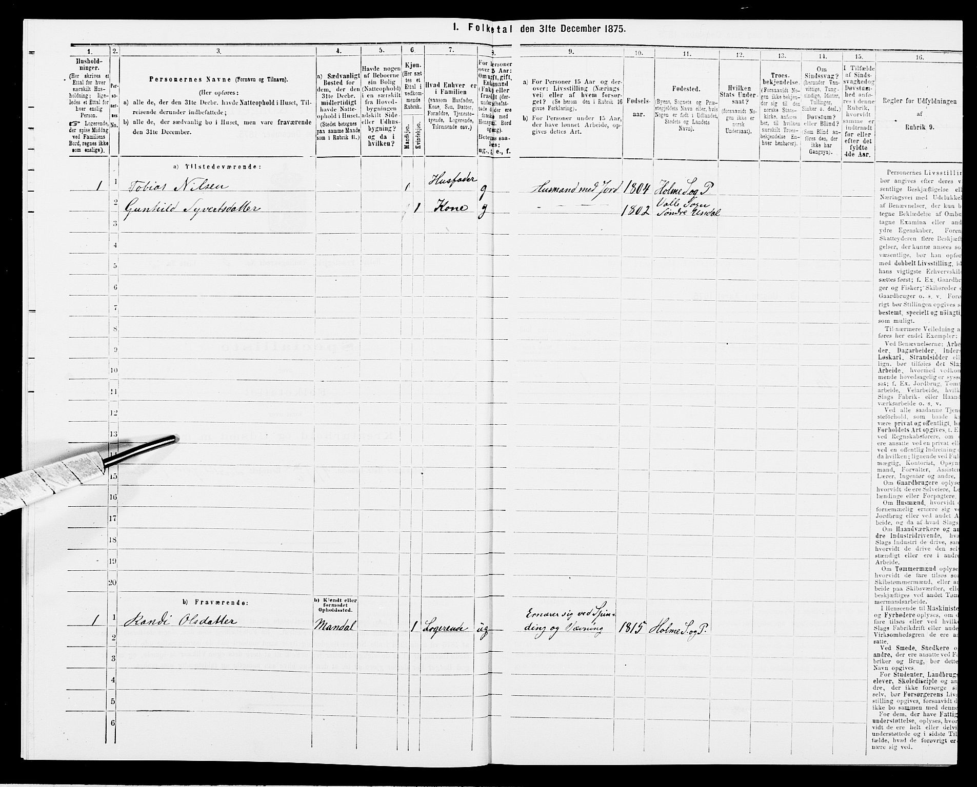 SAK, 1875 census for 1020P Holum, 1875, p. 377