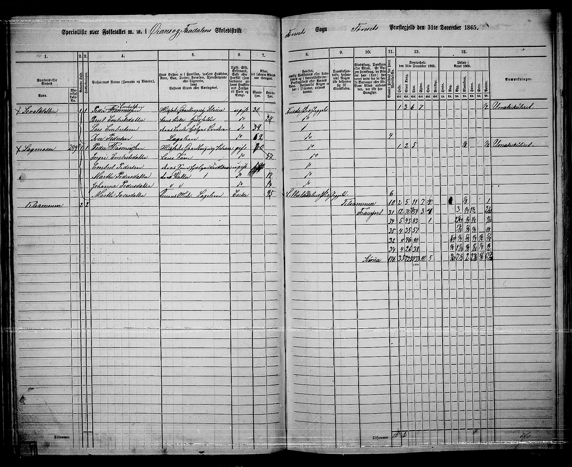 RA, 1865 census for Tynset, 1865, p. 78