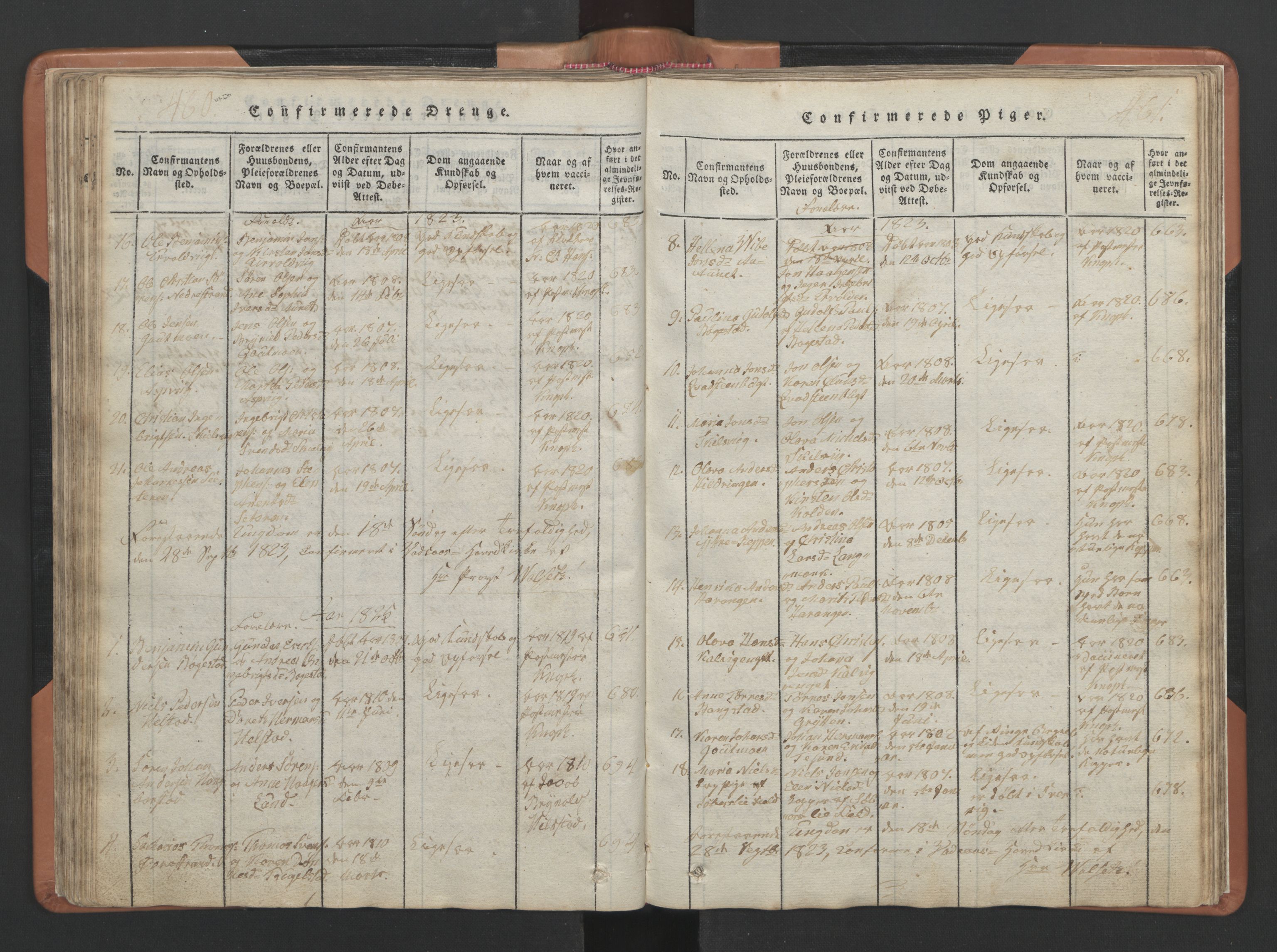 Ministerialprotokoller, klokkerbøker og fødselsregistre - Nordland, SAT/A-1459/810/L0157: Parish register (copy) no. 810C01, 1819-1842, p. 460-461